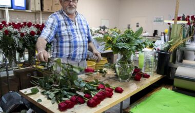 Exploring why Valentine's classics endure despite price hike | Retail