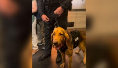 Lee County family praises bloodhound for finding missing father | Lee County