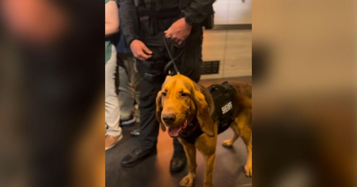 Lee County family praises bloodhound for finding missing father | Lee County