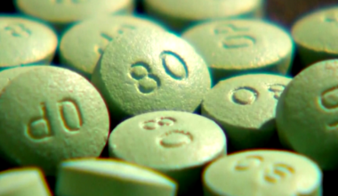 Cape Coral man faces first-degree murder charges | Lee County