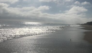 Foggy and sunny Friday on Key Biscayne | Key Biscayne