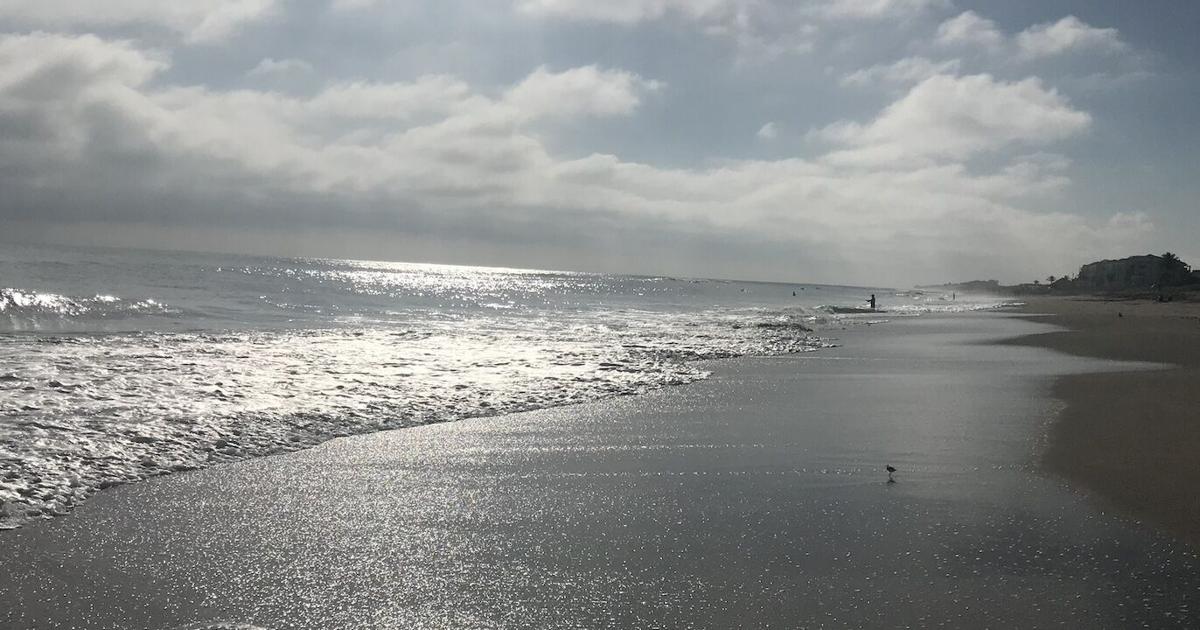 Foggy and sunny Friday on Key Biscayne | Key Biscayne