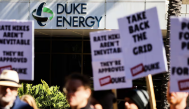 St. Petersburg begins accepting bids for study about ditching Duke Energy | St. Petersburg