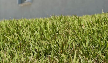 Cape Coral man revamps yard to combat Florida's dry season | Lee County