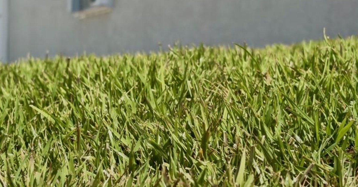 Cape Coral man revamps yard to combat Florida's dry season | Lee County