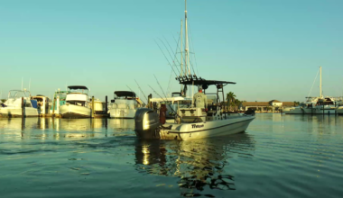 South Florida family rescues pilot from Everglades plane crash | News