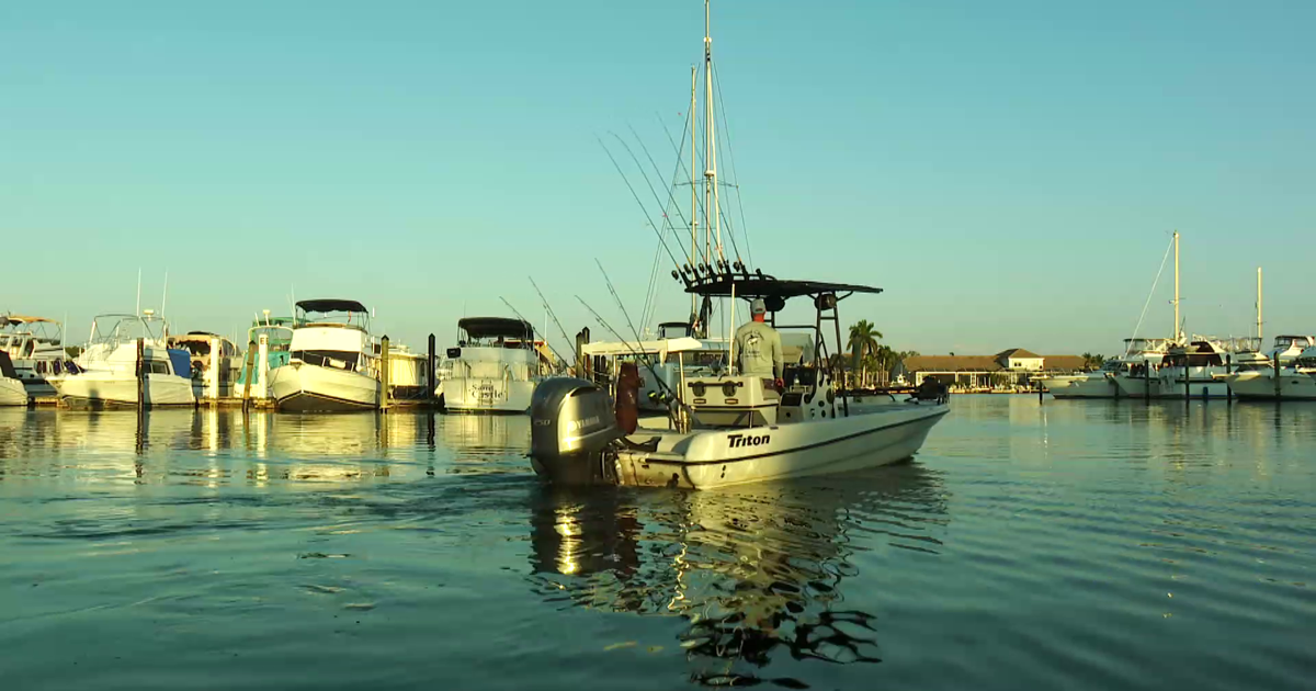 South Florida family rescues pilot from Everglades plane crash | News