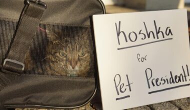 Eckerd students to elect their first pet president in close race on Friday | News