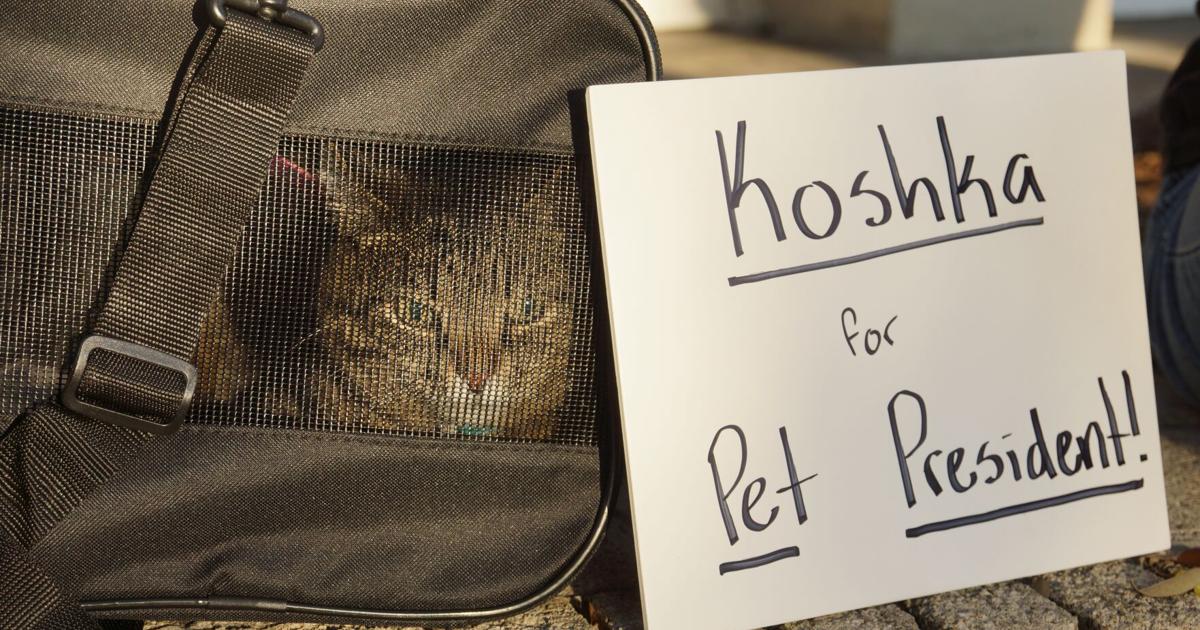 Eckerd students to elect their first pet president in close race on Friday | News