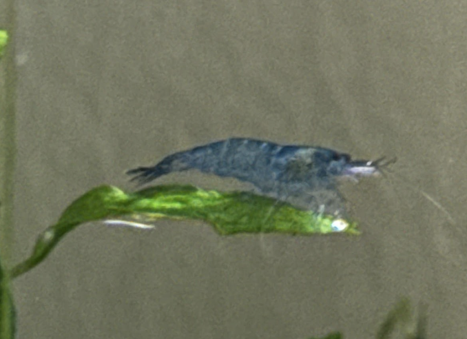 Screenshot 2026-02-19 at 20.03.19.png