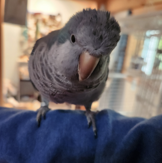 Screenshot 2026-02-19 at 20.03.59.png