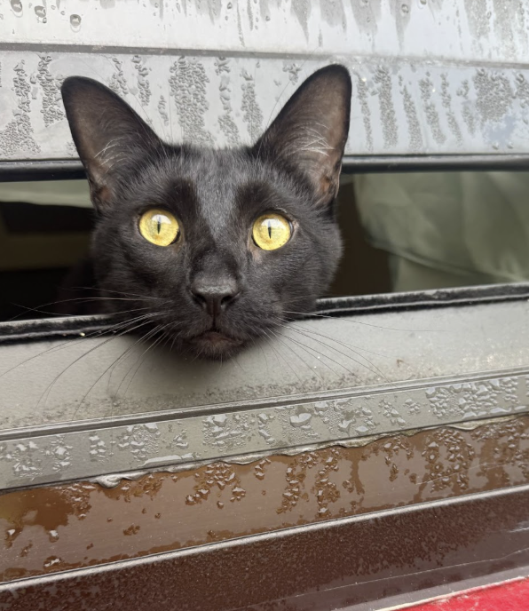 Screenshot 2026-02-19 at 20.04.49.png