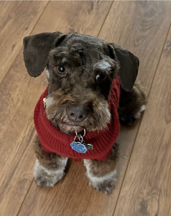 Screenshot 2026-02-19 at 20.05.10.png