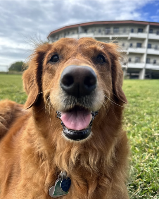 Screenshot 2026-02-19 at 20.05.21.png