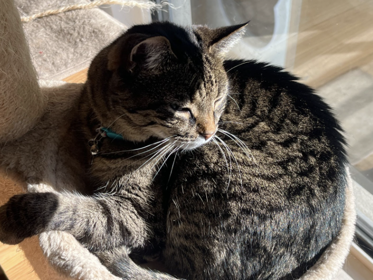 Screenshot 2026-02-19 at 20.04.41.png