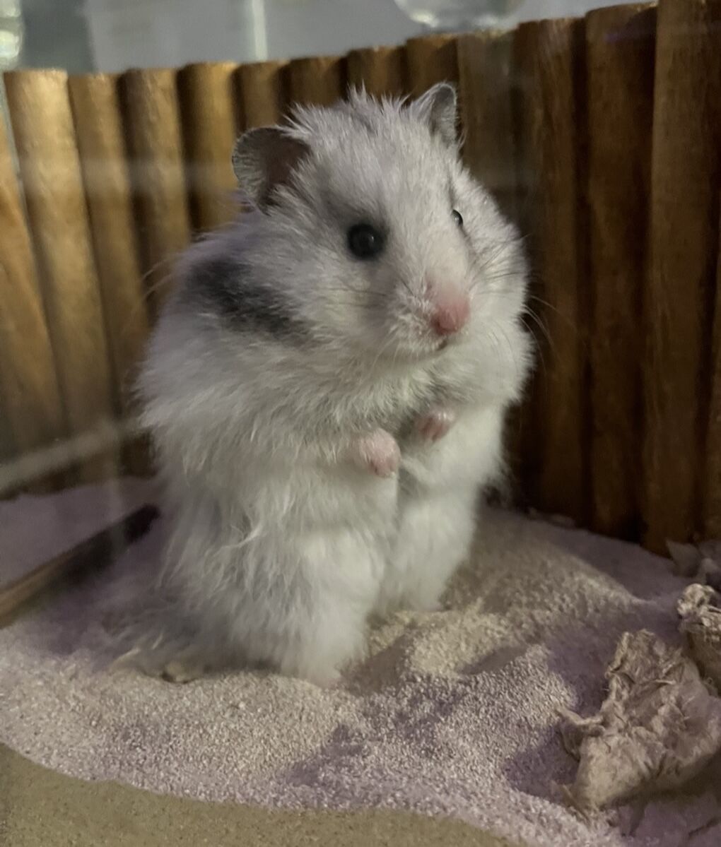 IMG_0122 - Brooklynne Case.jpeg