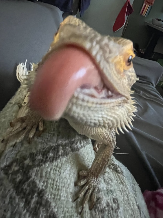 Screenshot 2026-02-19 at 20.04.33.png