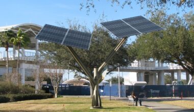 Two bills in Florida legislature threaten sustainable future, undermine city efforts | News