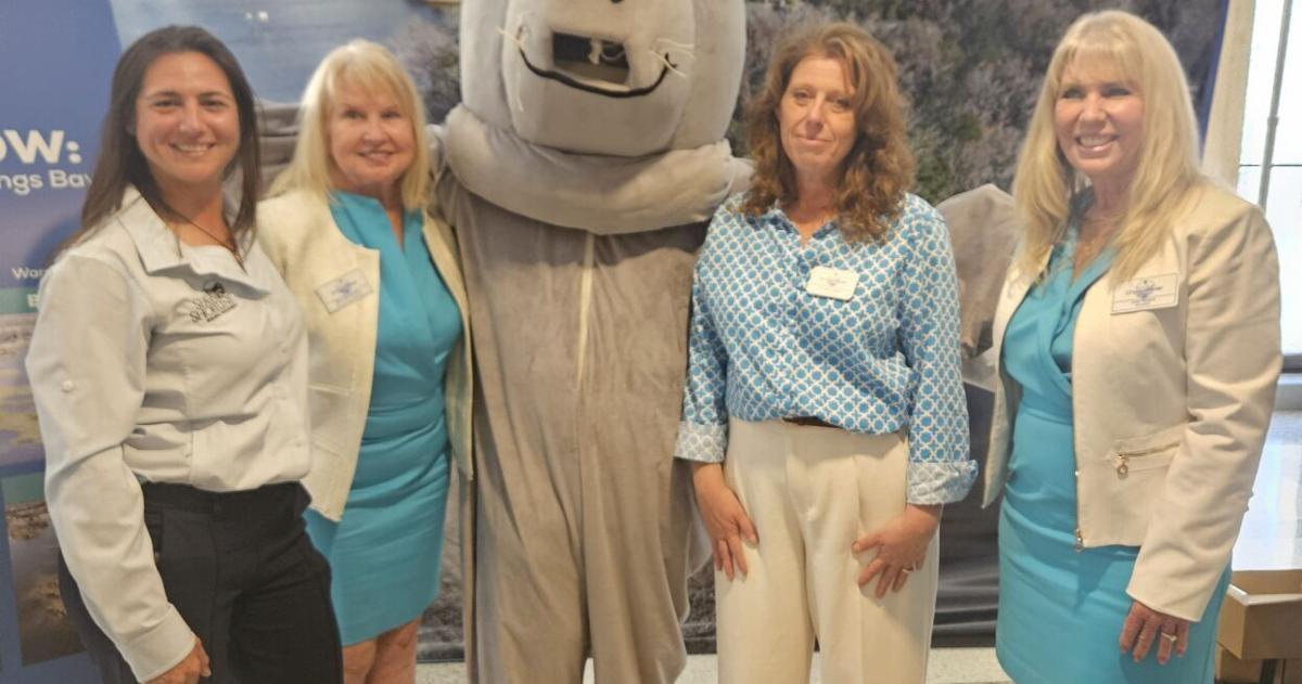 Eroding islands spotlighted | Citrus County Chronicle