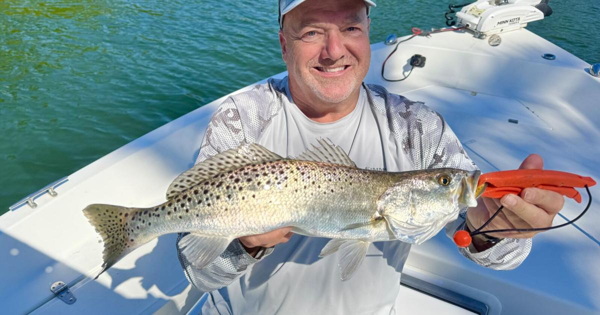 The Tampa Bay Fishin’ Report: A bit of warming is just what we needed | Sports