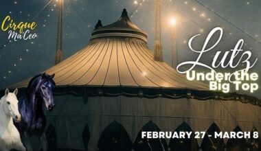 Things to do around Tampa & Wesley Chapel: Feb. 26-March 4 | News