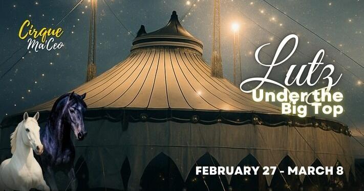 Things to do around Tampa & Wesley Chapel: Feb. 26-March 4 | News