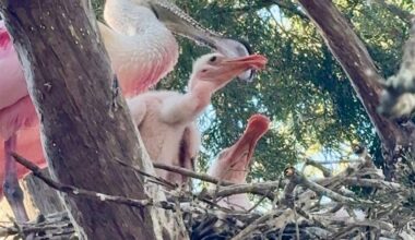 One Tank WonderWhen the grandkids visit, try this fun theme park | Event Features