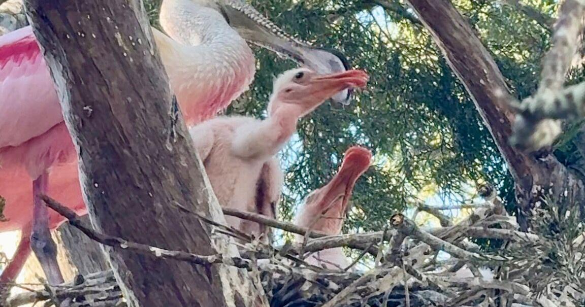 One Tank WonderWhen the grandkids visit, try this fun theme park | Event Features