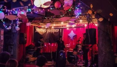 English department professors bring Southeast Asian rock fusion to Stardust Video and Coffee | Life