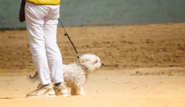 Sunny and crisp Tuesday on Key Biscayne | Key Biscayne