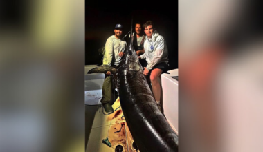 Cape Coral native catches 480-pound swordfish off Florida Keys | Lee County