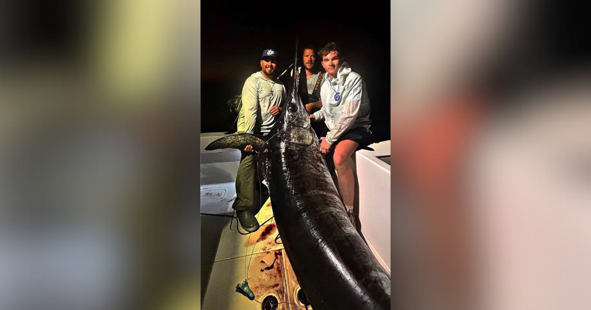 Cape Coral native catches 480-pound swordfish off Florida Keys | Lee County