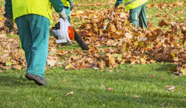 State bill could nullify local gas leaf blower bans | Key Biscayne