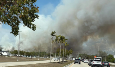 Brush fire prompts road closure in Cape Coral | Lee County