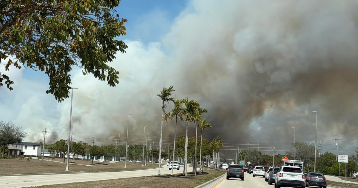 Brush fire prompts road closure in Cape Coral | Lee County