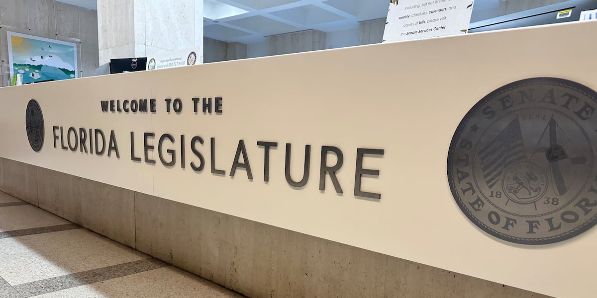 Florida House releases budget proposal as Senate delays theirs
