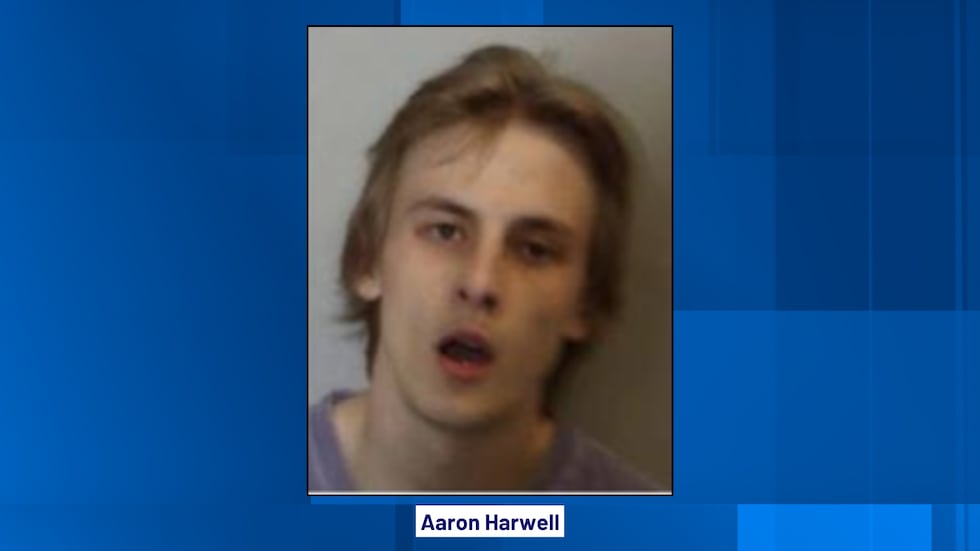 Aaron Harwell's mugshot.