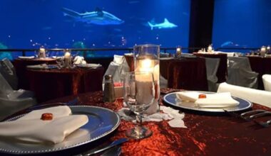SeaWorld Orlando offers Valentine’s Day shark soirée for couples