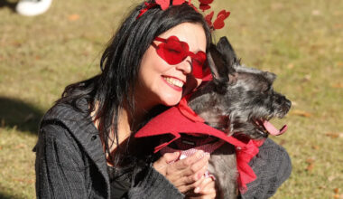 Yahoo lifestyle home