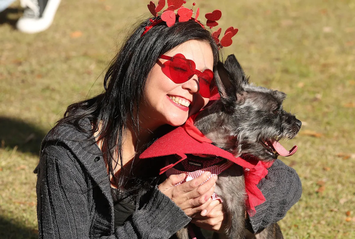 Yahoo lifestyle home