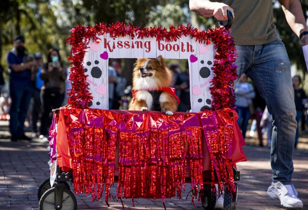 A furry costume contest participant sits in a kissing booth during Paws in the Park, an annual festival and fundraiser for Pet Alliance of Greater Orlando, at Lake Eola Park in 2020. (Patrick Connolly/Orlando Sentinel)