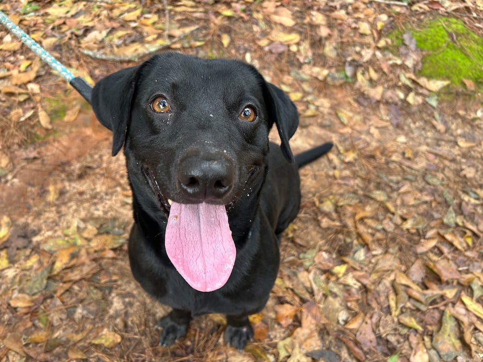 Quan covers plenty of ground with his little legs and is quite the social butterfly!