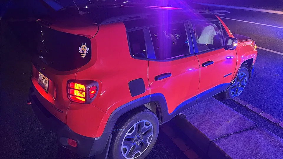 <div>Courtesy: Florida Highway Patrol</div>