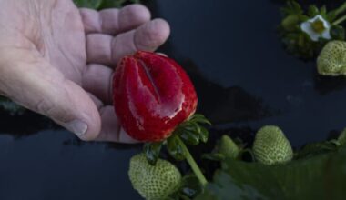 Yahoo lifestyle home