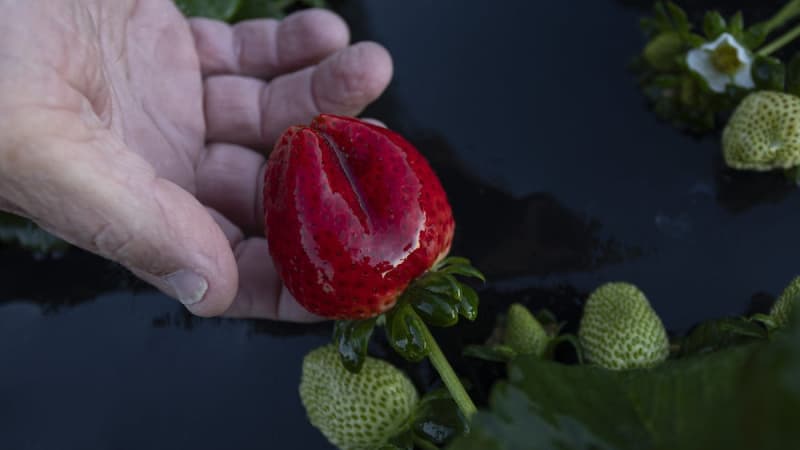 Yahoo lifestyle home