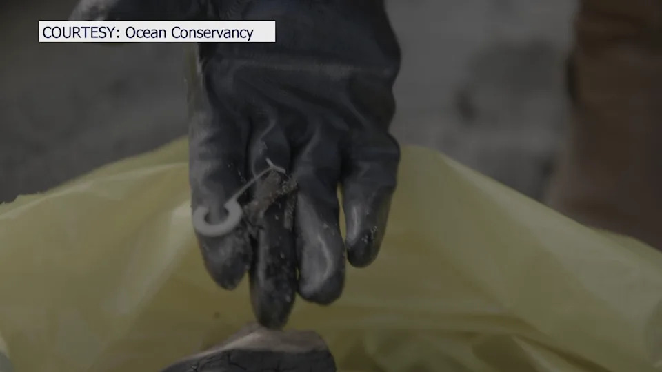 <div>Courtesy: Ocean Conservancy</div>