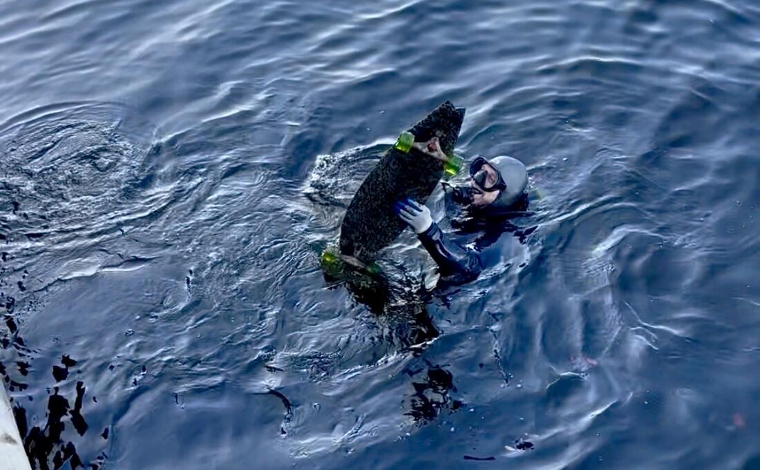 Three Agencies, Dive Volunteers Cleaning Hillsborough River
