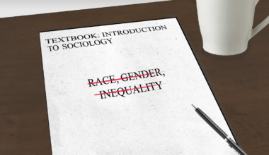 Florida’s new state-approved sociology textbook omits units on race, gender, sexuality