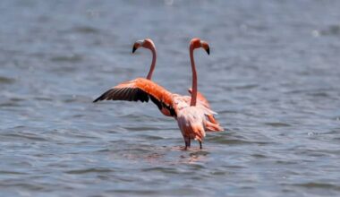 Yahoo lifestyle home