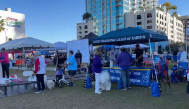 Yahoo lifestyle home